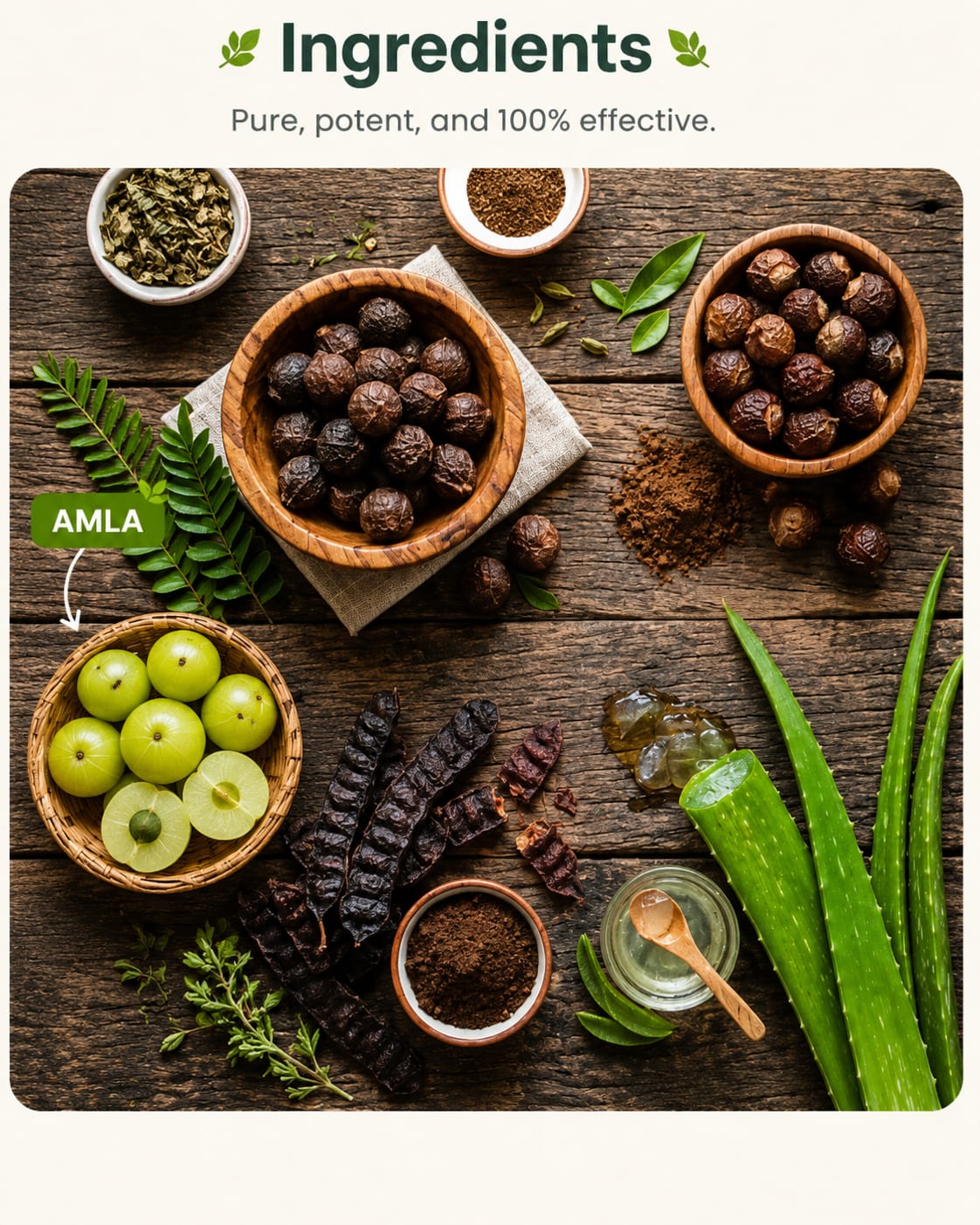 Natural Ayurvedic Herbs